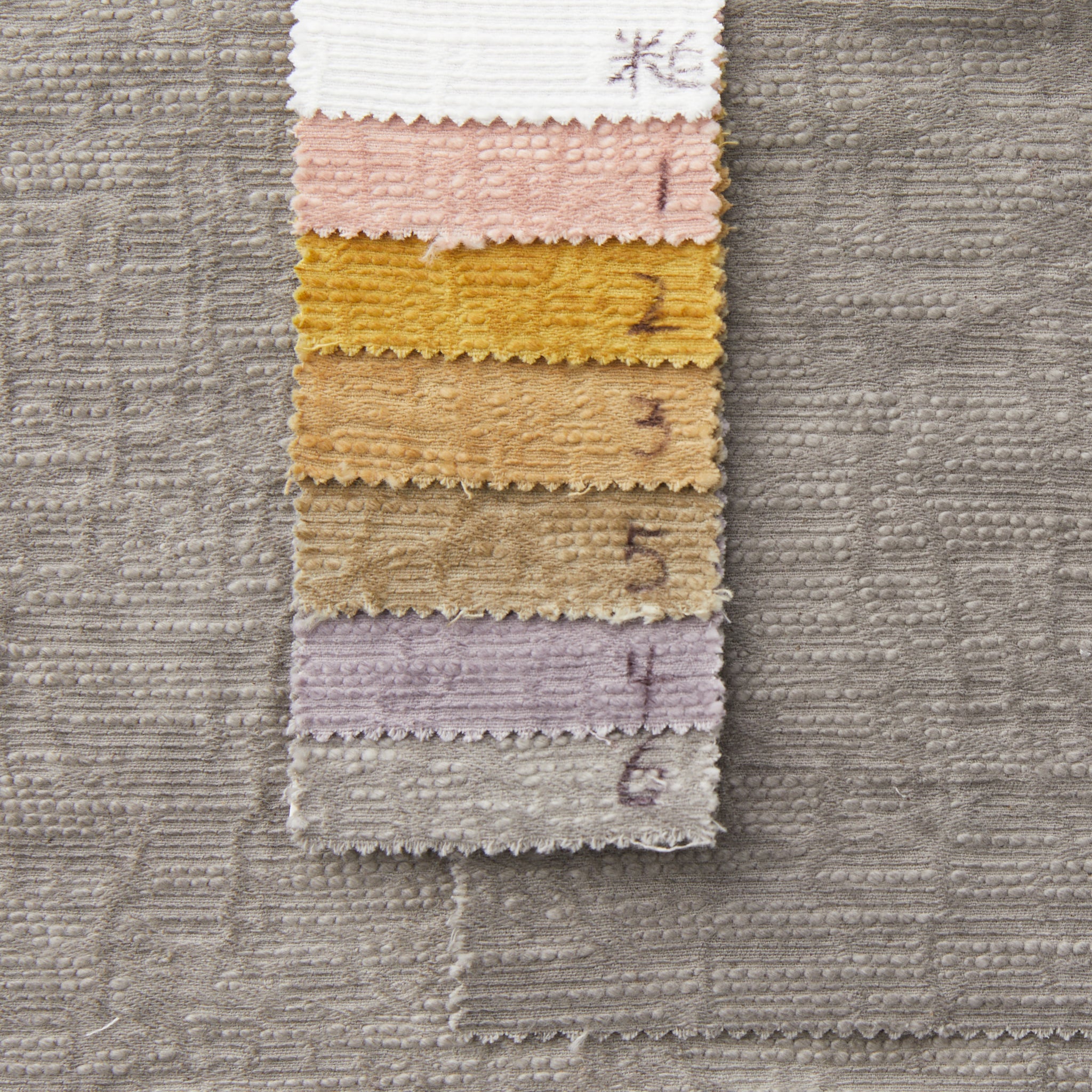 Jacquard Cotton Fabric